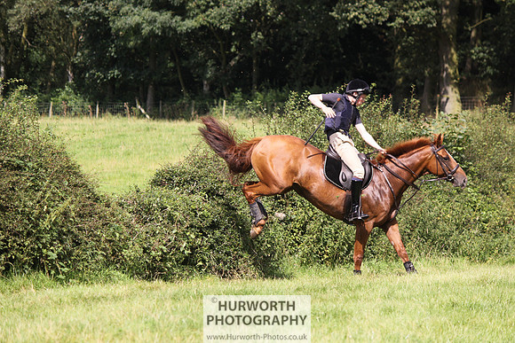 Hurworth HedgeHop 311