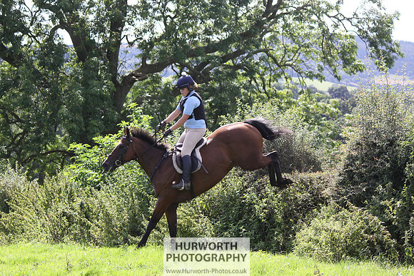 Hurworth HedgeHop 425