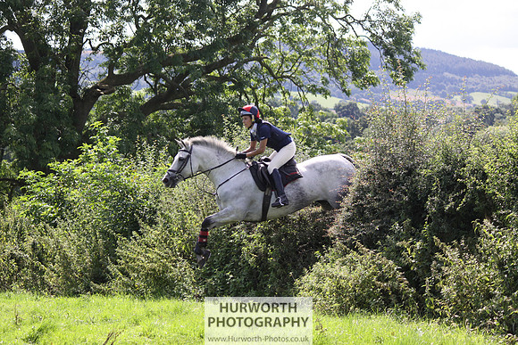 Hurworth HedgeHop 426