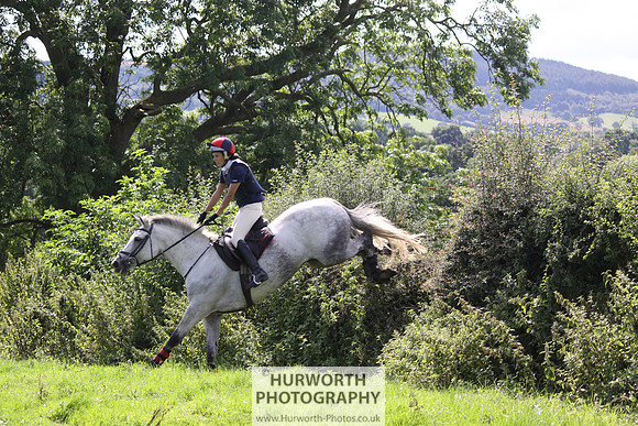 Hurworth HedgeHop 427