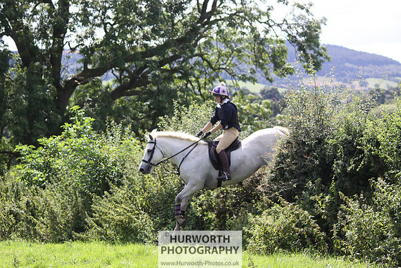 Hurworth HedgeHop 428