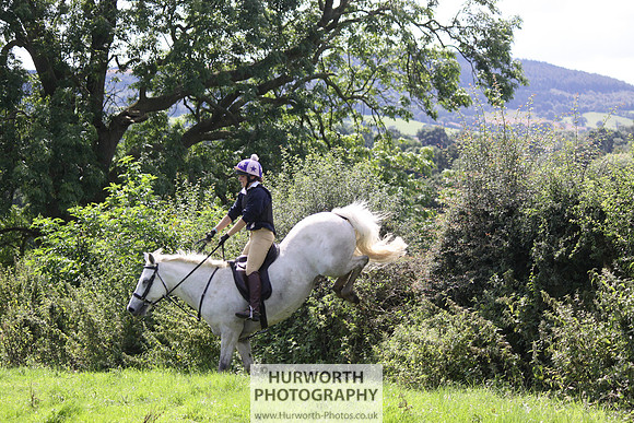 Hurworth HedgeHop 429