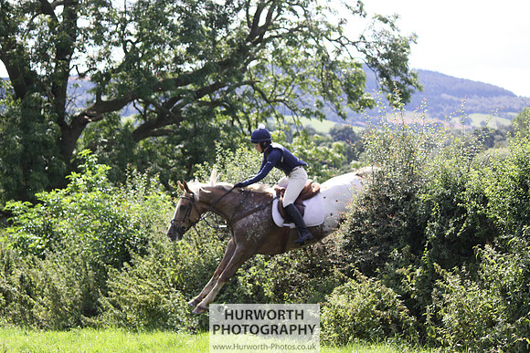 Hurworth HedgeHop 430