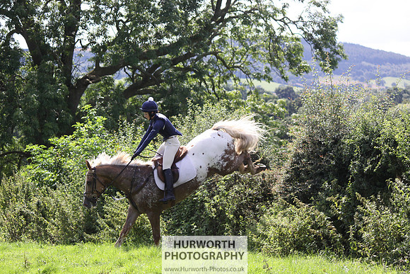 Hurworth HedgeHop 431