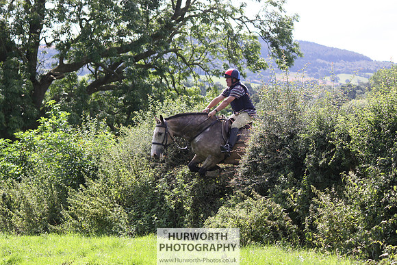 Hurworth HedgeHop 432