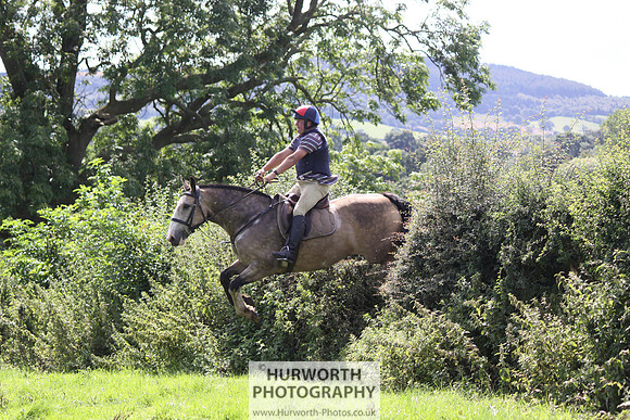 Hurworth HedgeHop 433