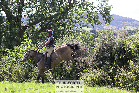 Hurworth HedgeHop 434