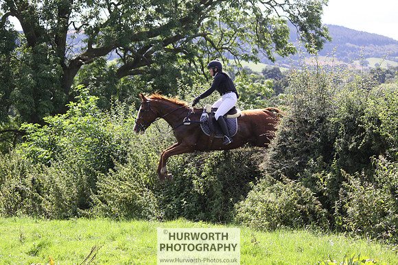 Hurworth HedgeHop 436