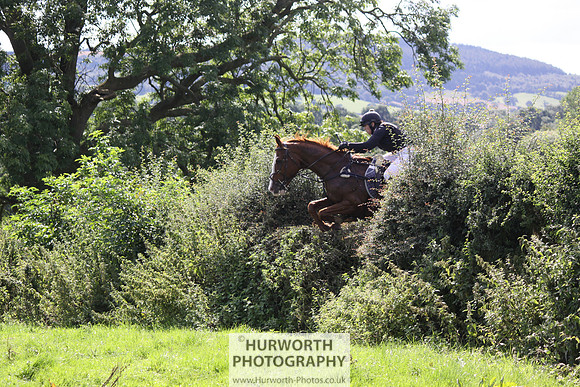 Hurworth HedgeHop 435