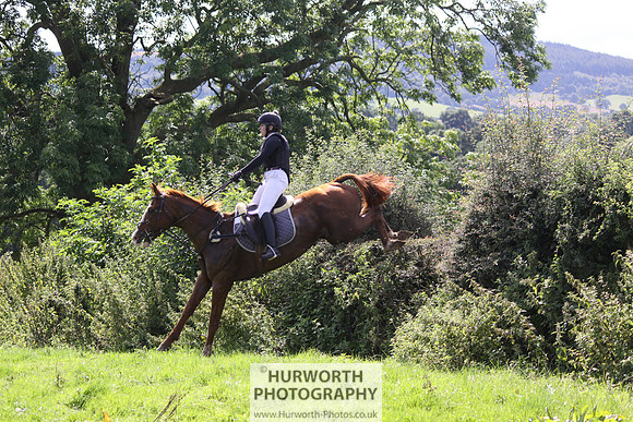 Hurworth HedgeHop 437