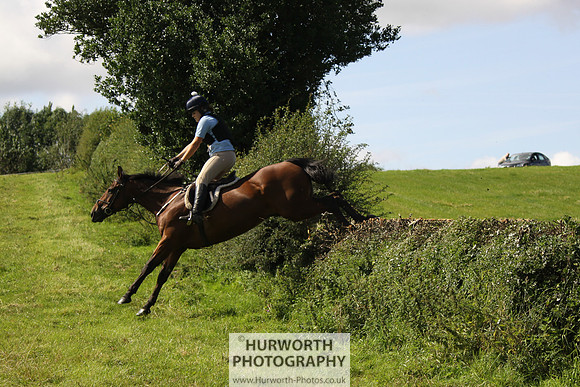 Hurworth HedgeHop 372