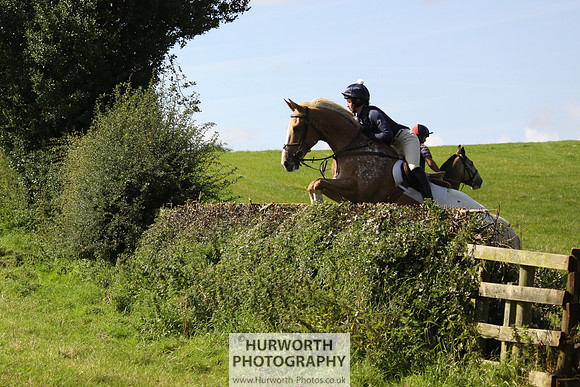 Hurworth HedgeHop 373