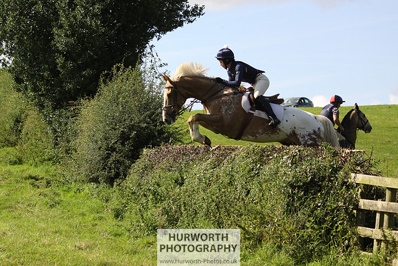 Hurworth HedgeHop 374