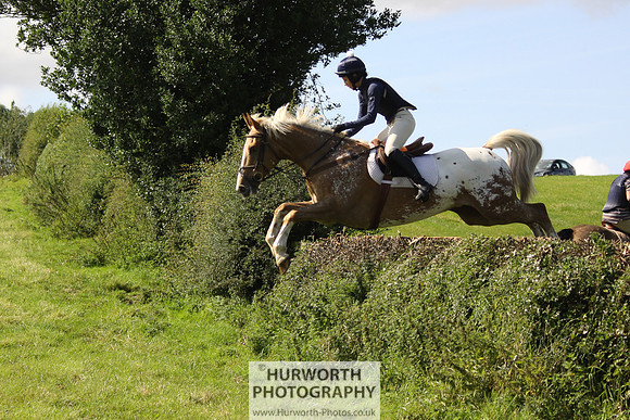 Hurworth HedgeHop 375