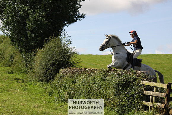 Hurworth HedgeHop 377