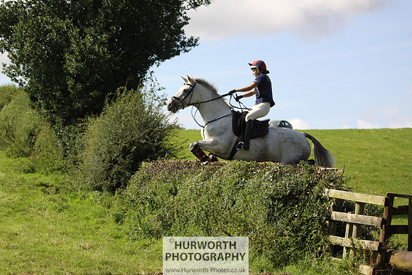 Hurworth HedgeHop 378