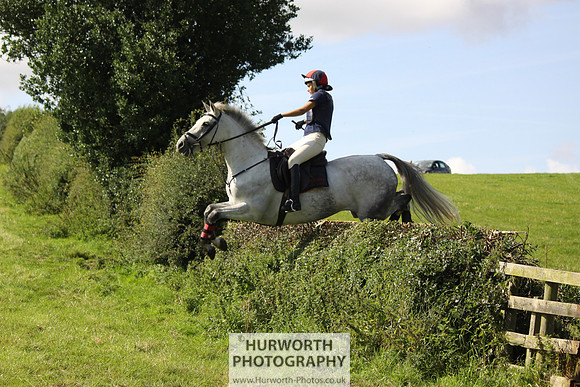 Hurworth HedgeHop 379