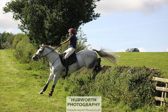 Hurworth HedgeHop 380
