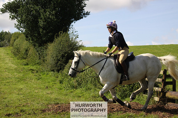 Hurworth HedgeHop 381