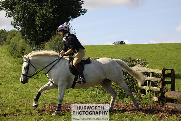Hurworth HedgeHop 382