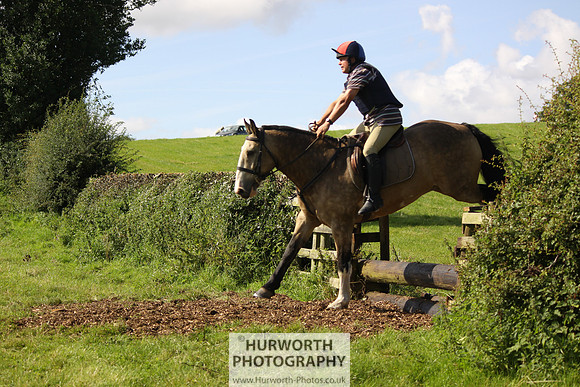 Hurworth HedgeHop 384