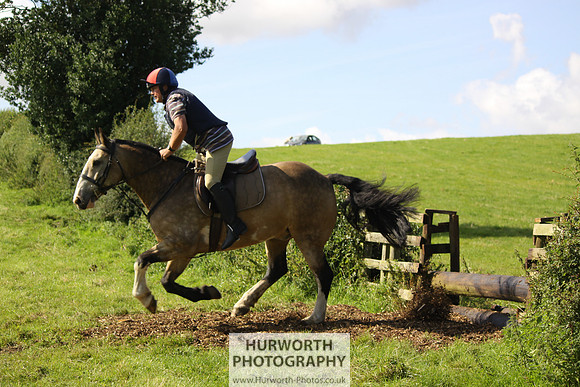 Hurworth HedgeHop 385