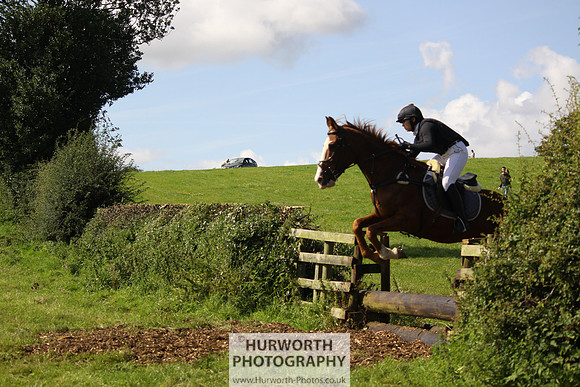 Hurworth HedgeHop 386