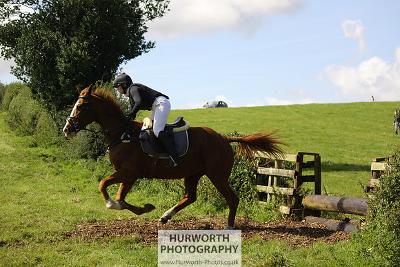 Hurworth HedgeHop 387