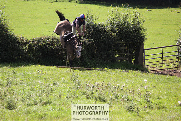 Hurworth HedgeHop 388