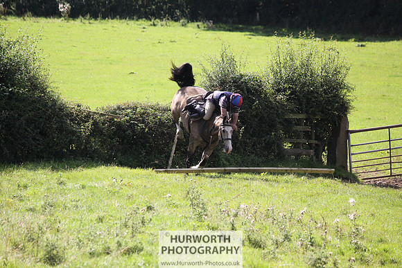 Hurworth HedgeHop 389