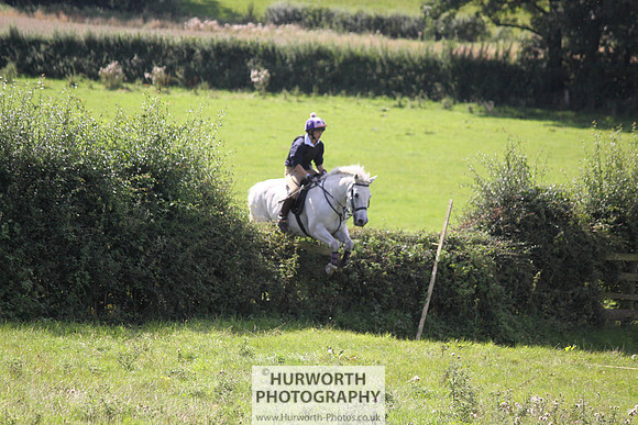 Hurworth HedgeHop 390