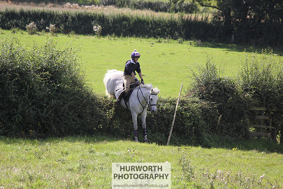 Hurworth HedgeHop 391