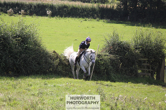 Hurworth HedgeHop 392