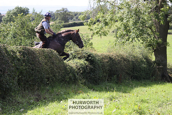 Hurworth HedgeHop 393