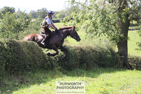 Hurworth HedgeHop 394