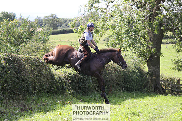 Hurworth HedgeHop 395