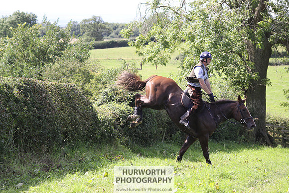 Hurworth HedgeHop 396