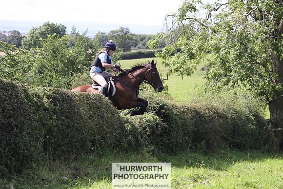 Hurworth HedgeHop 397