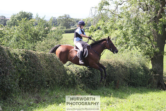 Hurworth HedgeHop 398