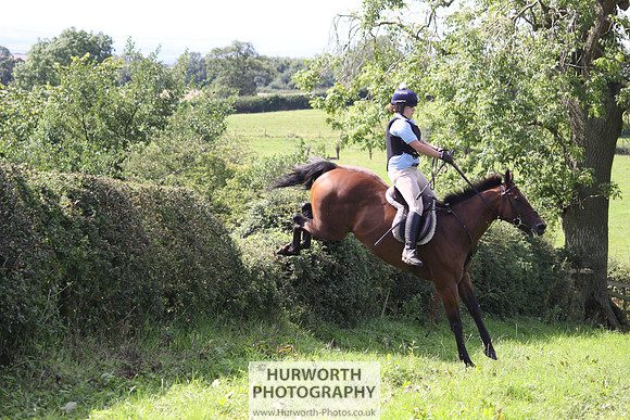 Hurworth HedgeHop 399