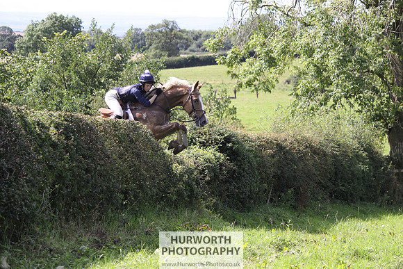 Hurworth HedgeHop 400