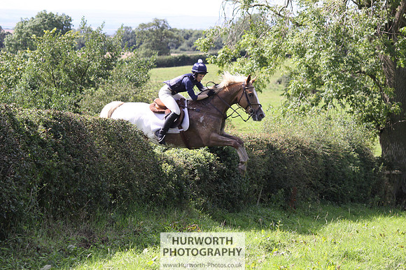 Hurworth HedgeHop 401