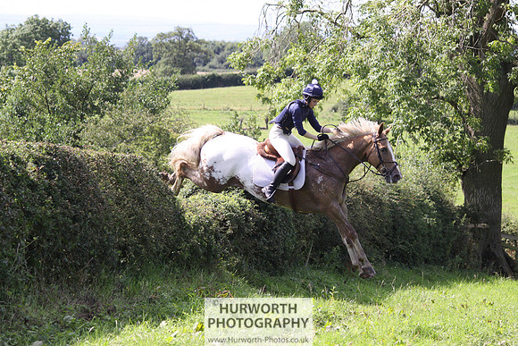 Hurworth HedgeHop 402