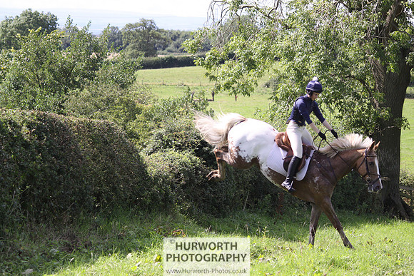 Hurworth HedgeHop 403
