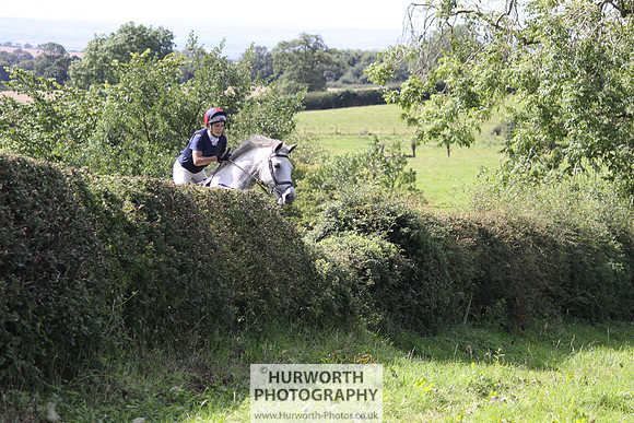 Hurworth HedgeHop 404
