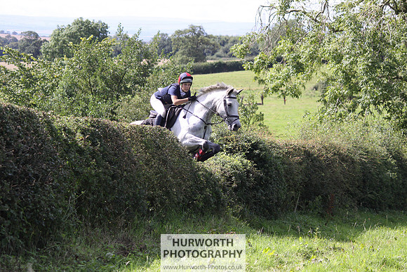 Hurworth HedgeHop 405