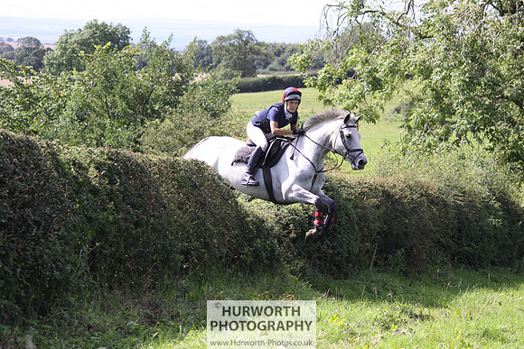 Hurworth HedgeHop 406