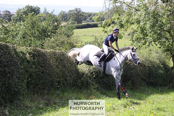 Hurworth HedgeHop 407