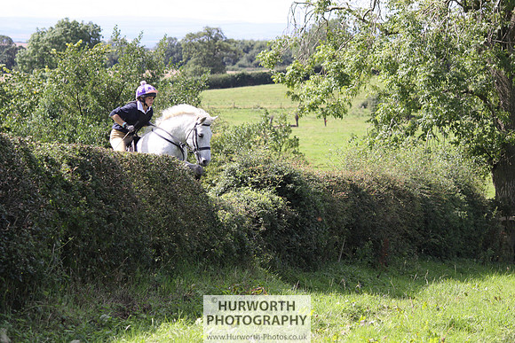 Hurworth HedgeHop 408