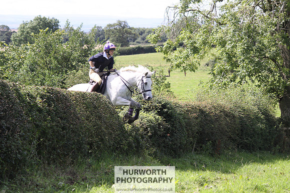 Hurworth HedgeHop 409